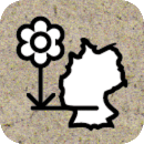 Silphie Illustration of Regional Cultivation