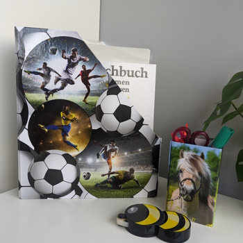Application image pencil holder horses and standing folder soccer