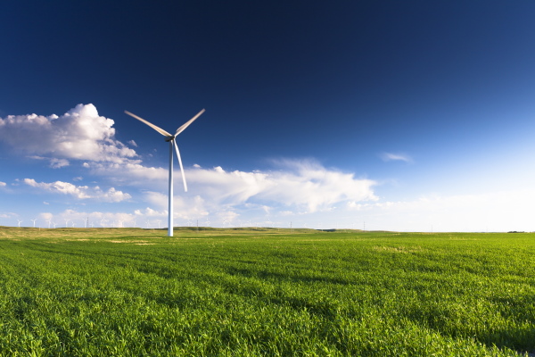 Meadow with a wind turbine in the background