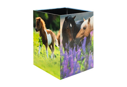 A square container featuring images of horses standing in a meadow and approaching purple flowers.