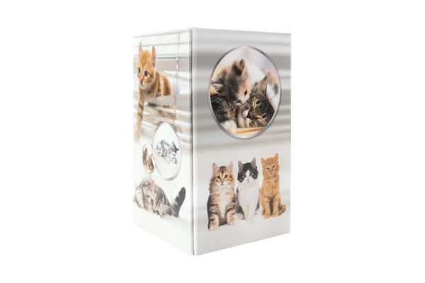 Illustration of a pencil holder with a cat design
