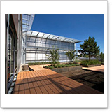 Modern glass architecture with a wooden terrace and a landscaped garden in the foreground, under a clear blue sky.