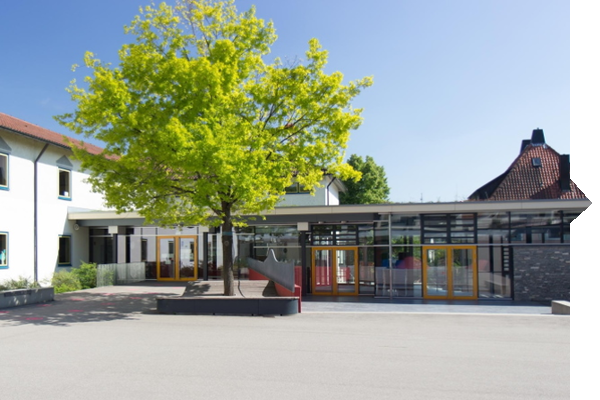 A school building with modern windows, a large tree in the foreground, and a play area accessible through colorful doors.