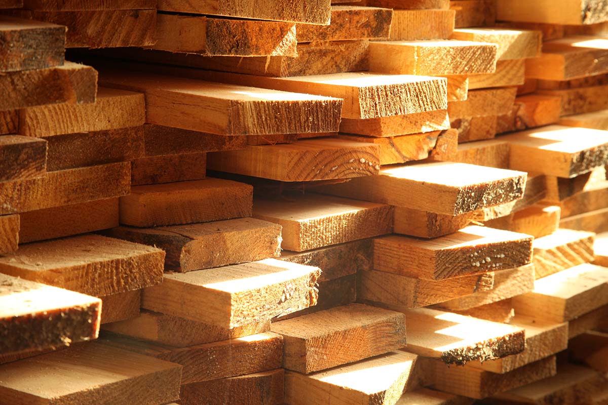 Woodpile at the sawmill
