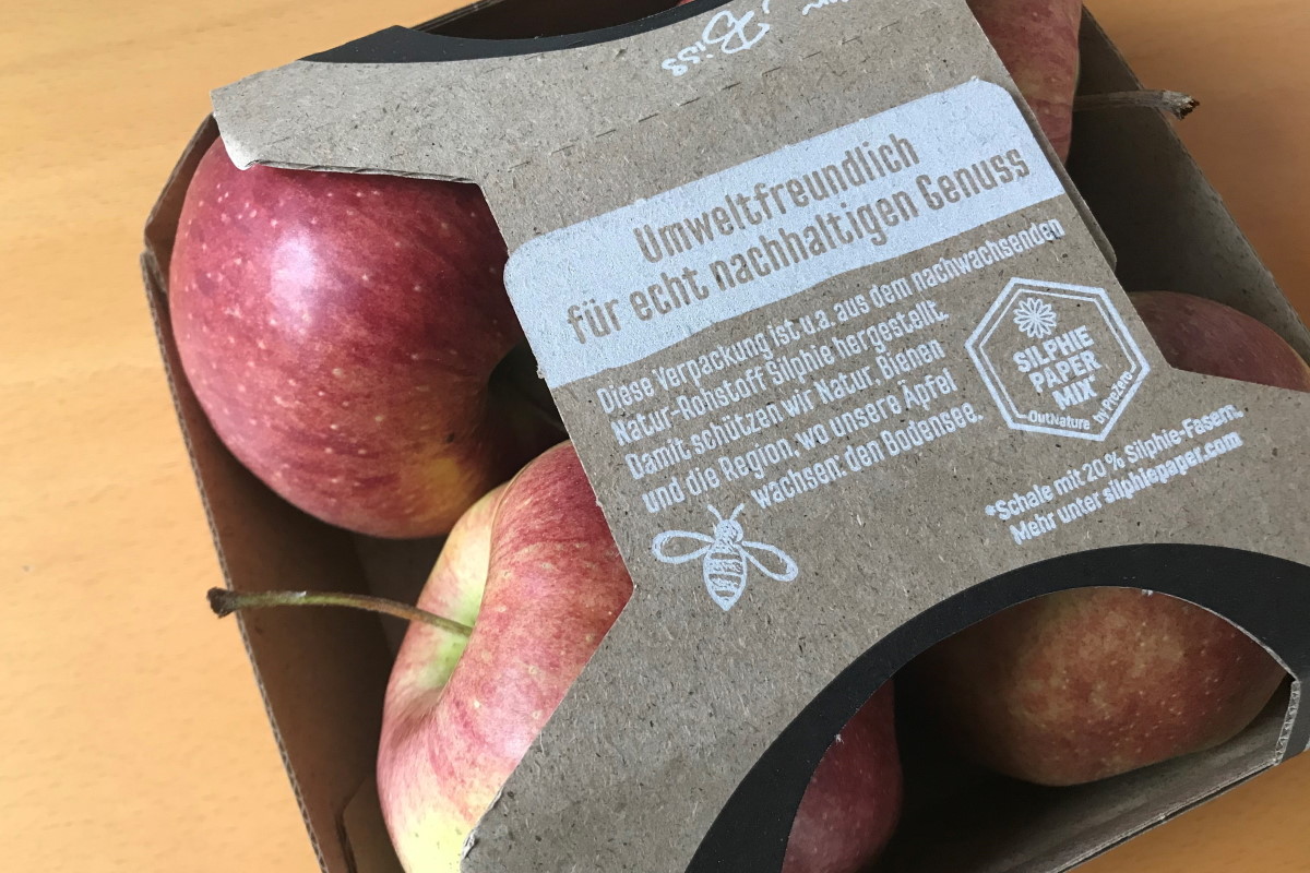 Apple packaging made from silphium material