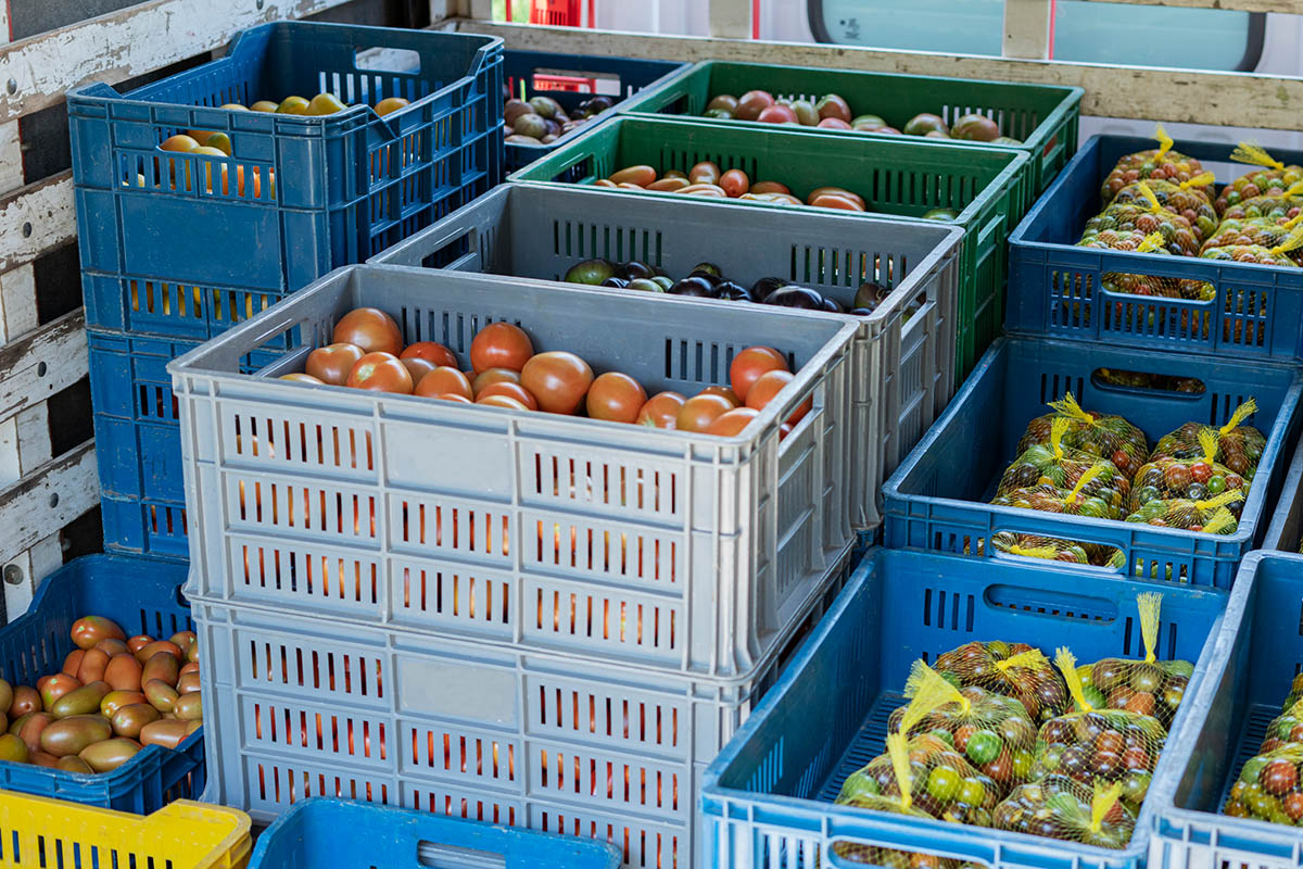 Colorful stacked reusable containers with vegetables, ideal for labeling with wash-off labels during transport.
