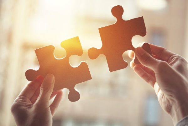 Icon Puzzle Pieces for Website Solutions