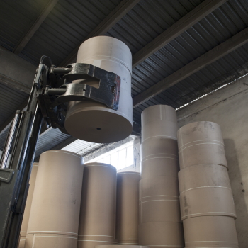 Sustainable Labels: Silphium Paper Production