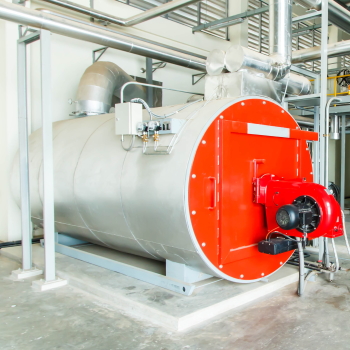 Sustainable Labels: Steam Explosion Process for Fiber Extraction from Silphium Plants