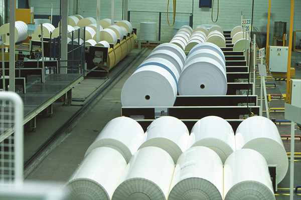 Rolls of paper are stored in a production hall, organized in long rows on conveyor belts and pallets.
