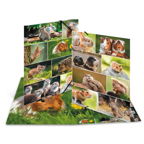 Ein aufgeschlagenes Buch mit Bildern von verschiedenen kleinen Tieren, darunter Eichhörnchen, Igel und Meerschweinchen, in natürlicher Umgebung.