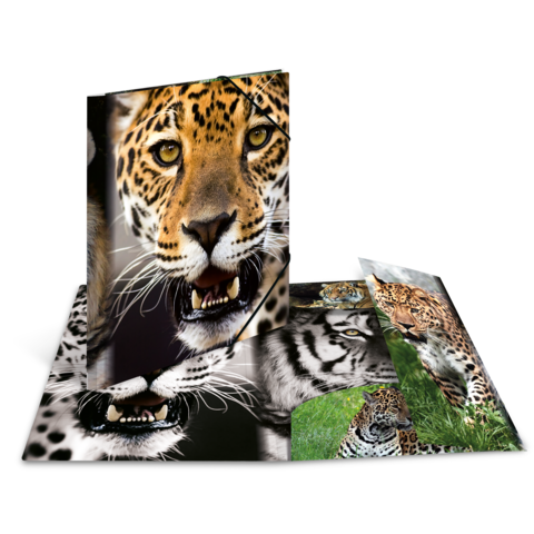 Ein aufgeschlagenes Buch mit verschiedenen Bildern von Leoparden, die ihre charakteristischen Merkmale und Posen zeigen.