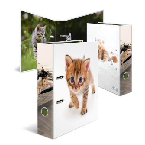 Plastic folders featuring images of cats, one with a kitten walking and another with a cat outdoors.