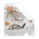 Eine Verpackung mit Bildern von verschiedenen Katzen, darunter ein orangefarbener Kater, eine graue Katze und eine dreifarbige Katze.