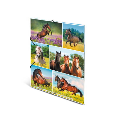 Sechs verschiedene Pferde in verschiedenen Posen und Umgebungen, darunter Wiesen und Blumenfelder.