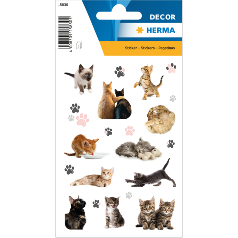 Cat stickers in various poses and colors, including kittens and adult cats, set against a decorative background.