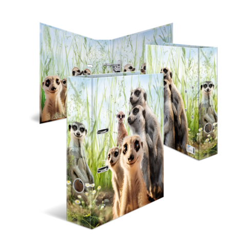 Mehrere Erdmännchen stehen in einer grünen Umgebung, einige schauen direkt in die Kamera, während andere um sie herum stehen.