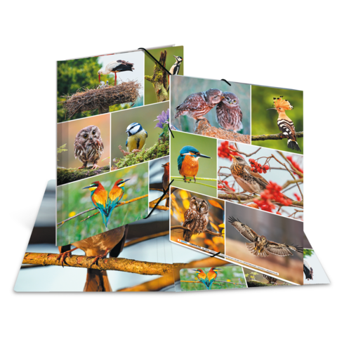 Eine Pop-up-Karte mit verschiedenen Vogelbildern, darunter Eulen, Spechte und andere Arten, die in natürlichen Umgebungen dargestellt sind.