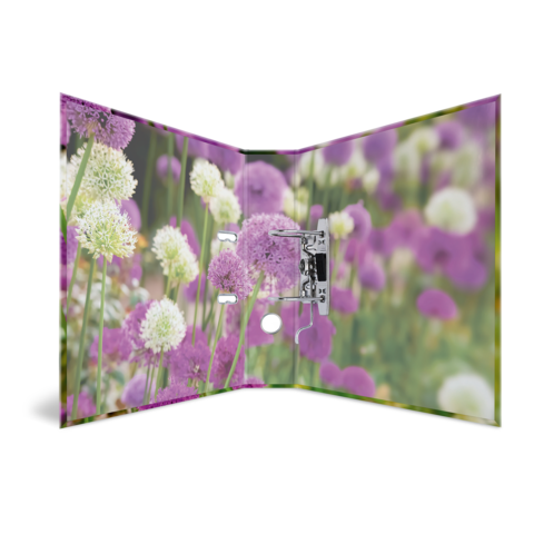 Blühende lila und weiße Blumen in einem Garten, mit einem Fokus auf die Farben und die Anordnung der Pflanzen.