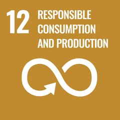 Number 12, a symbol for responsible consumption and production practices, represented by an infinity loop symbol on a brown background.