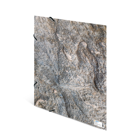 Texturierte Steinoberfläche mit grauen und braunen Farbtönen, die natürliche Muster und Linien zeigt.