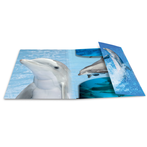 Ein Ordner mit Bildern von Delfinen, darunter ein Delfin, der aus dem Wasser springt, und weitere Delfinaufnahmen im Hintergrund.