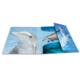 Ein Ordner mit Bildern von Delfinen, darunter ein Delfin, der aus dem Wasser springt, und weitere Delfinaufnahmen im Hintergrund.