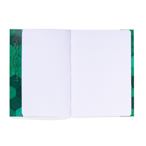 Ein offenes kariertes Notizbuch mit grünem Hexagon-Muster auf dem Einband. Die Seiten sind leer und unbeschrieben.