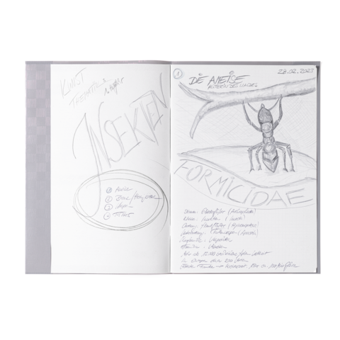 Skizze einer Ameise mit dem Titel "Formicidae" und Notizen zu Kunstthemen, darunter "Wasser", "Eis", "Feuer" und "Erde".