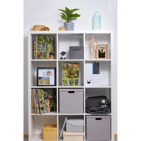 Regal mit mehreren Fächern, gefüllt mit Pflanzen, Fotos, Aufbewahrungskisten und Büromaterialien.