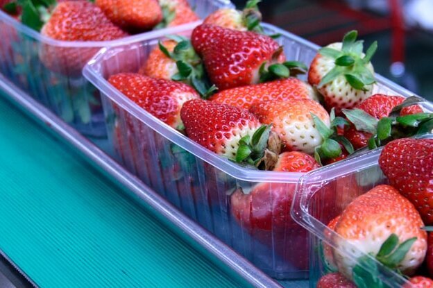 Strawberries in transparent containers on a conveyor belt in a production environment.