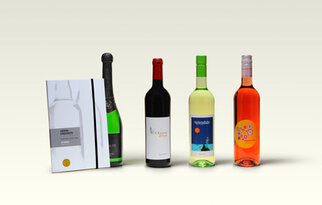 A selection of four wine bottles in different colors, next to a book about wines. The bottles include sparkling wine, red wine, white wine, and rosé.