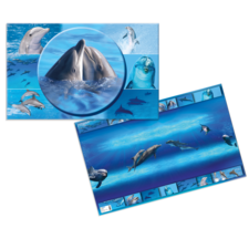 Delfine in verschiedenen Posen und Umgebungen, die im Wasser schwimmen und spielen. Mehrere Bilder zeigen ihre Bewegungen und Interaktionen.