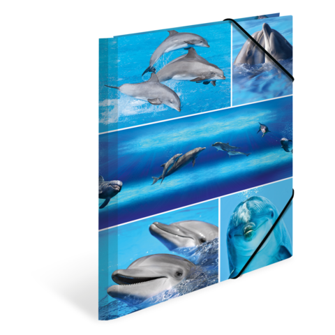 Mehrere Delfine schwimmen und springen im Wasser, dargestellt in verschiedenen Szenen auf einem bunten Hintergrund.