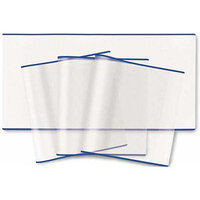 A stack of transparent sheets with blue borders arranged on a white background.