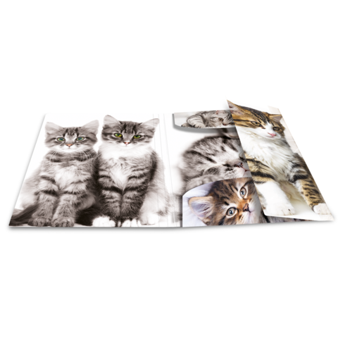 Ein aufgeschlagenes Fotobuch mit verschiedenen Bildern von Katzen, darunter zwei grau gestreifte Kätzchen und andere Katzenporträts.