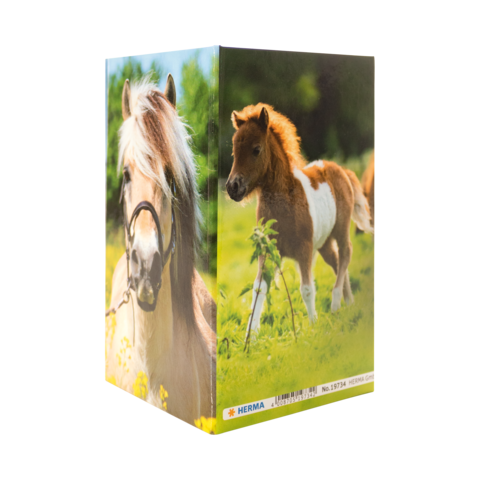 Eine Verpackung mit Bildern von zwei Ponys, eines mit einer Mähne und Zaumzeug, das andere braun-weiß gefleckt.