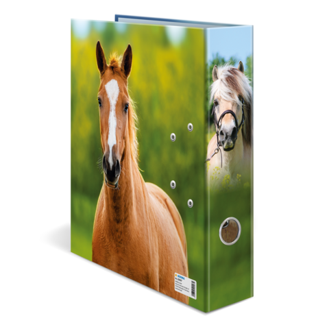 A folder with pictures of two horses, one brown and one gray, in front of a green meadow.