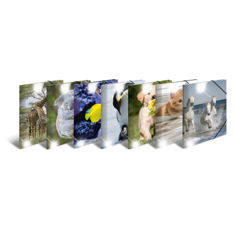 Eine Reihe von Bildern, die verschiedene Tiere zeigen, darunter eine Giraffe, ein Koala, Fische, einen Welpen und springende Pferde.