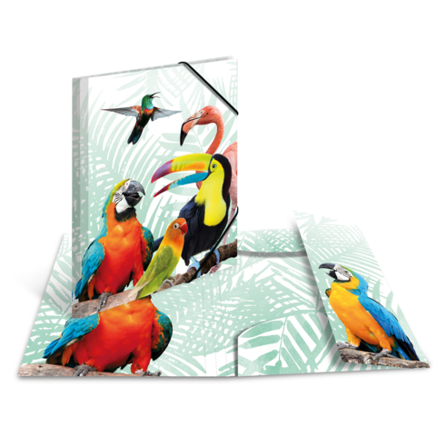 Bunte Papageien und Tukan auf einem hellgrünen Hintergrund, umgeben von tropischen Pflanzen.