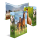 A folder with pictures of two horses in a meadow, surrounded by a rural landscape and mountains in the background.