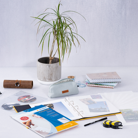 Schreibtisch mit Büromaterialien, darunter Papier, Stifte, eine Brille, ein Pflanze und ein Federmäppchen.