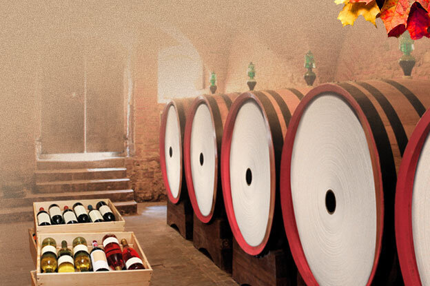 Wine cellar with wine barrels