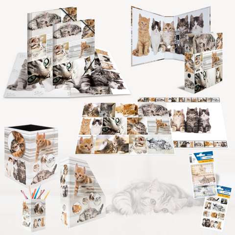 Colorful office supplies featuring cat designs, including a binder, a pencil holder, and a notepad, all showcasing various images of cats.