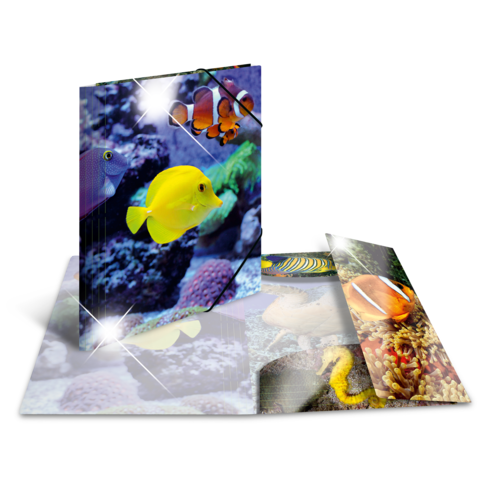 Bunte Fische schwimmen in einem Korallenriff, dargestellt in einem 3D-ähnlichen Pop-up-Buch mit verschiedenen Unterwasserbildern.