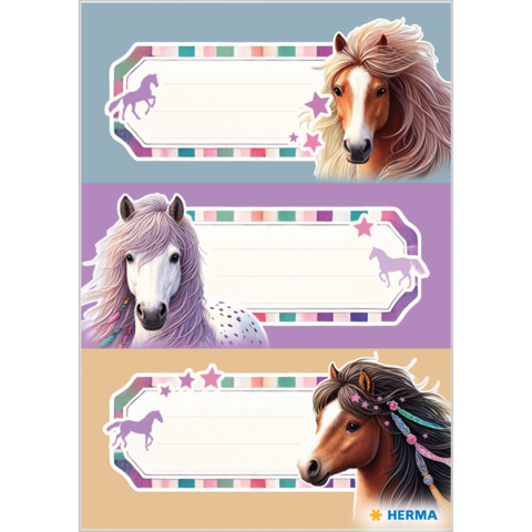 Drei Pferdeporträts auf bunten Etiketten mit Platz für Namen. Jedes Pferd hat eine unterschiedliche Fellfarbe und Frisur.