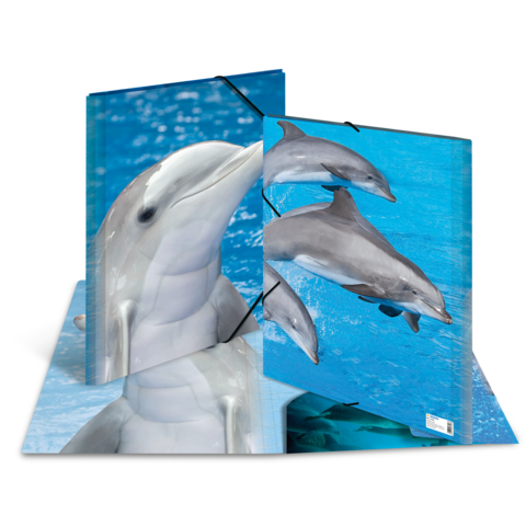 Ein aufklappbares Buch mit Delfinen, die im Wasser schwimmen, zeigt eine 3D-Darstellung eines Delfins und weiterer Delfine im Hintergrund.