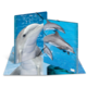 Ein aufklappbares Buch mit Delfinen, die im Wasser schwimmen, zeigt eine 3D-Darstellung eines Delfins und weiterer Delfine im Hintergrund.