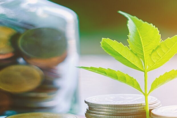 Coins with branch, image motif for HERMA Thinrange labels, landscape format.