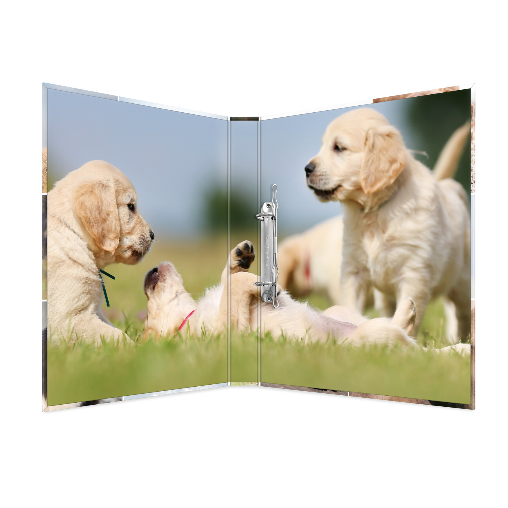 Ring binder A4 cardboard 2D dogs